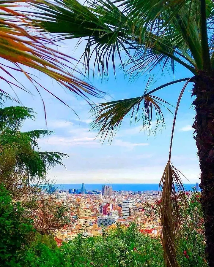 Mediterranean Hostel Barcelona