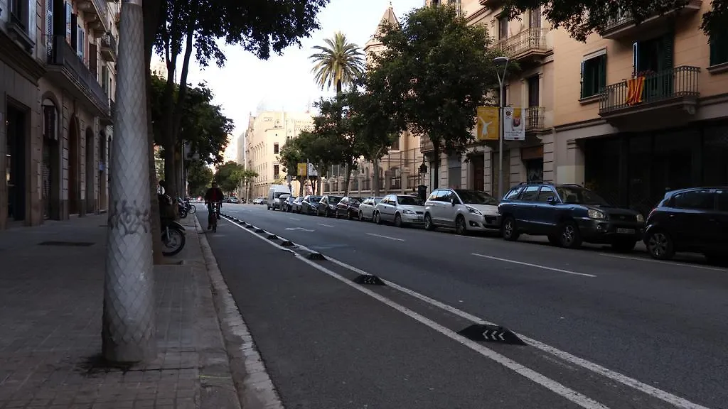 Mediterranean Hostel Barcelona